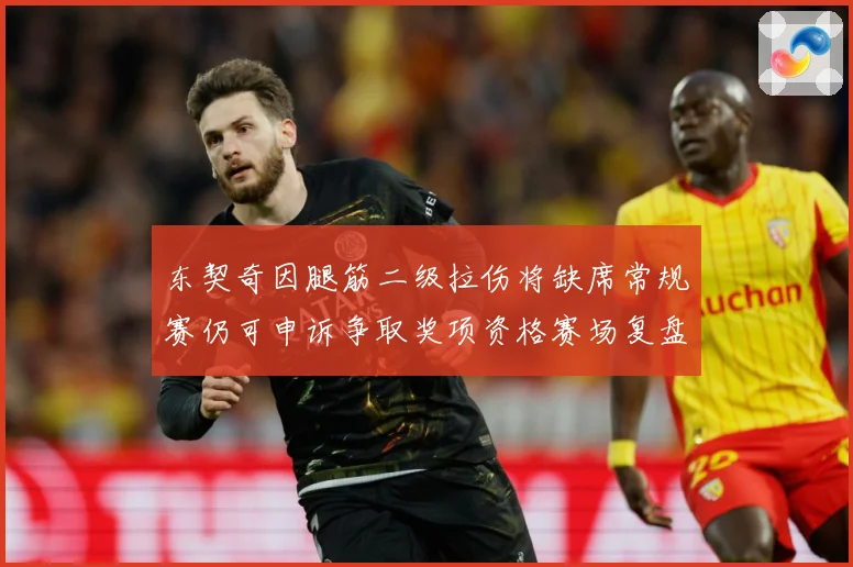 东契奇因腿筋二级拉伤将缺席常规赛仍可申诉争取奖项资格赛场复盘：最新赛事动态与深度分析